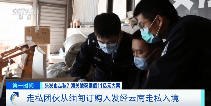 这些头发从哪来?又用来做啥了?_海关