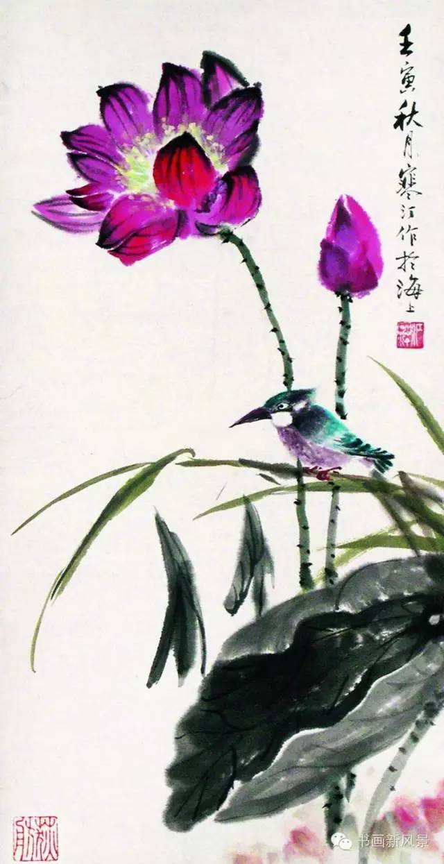 江寒汀 荷花
