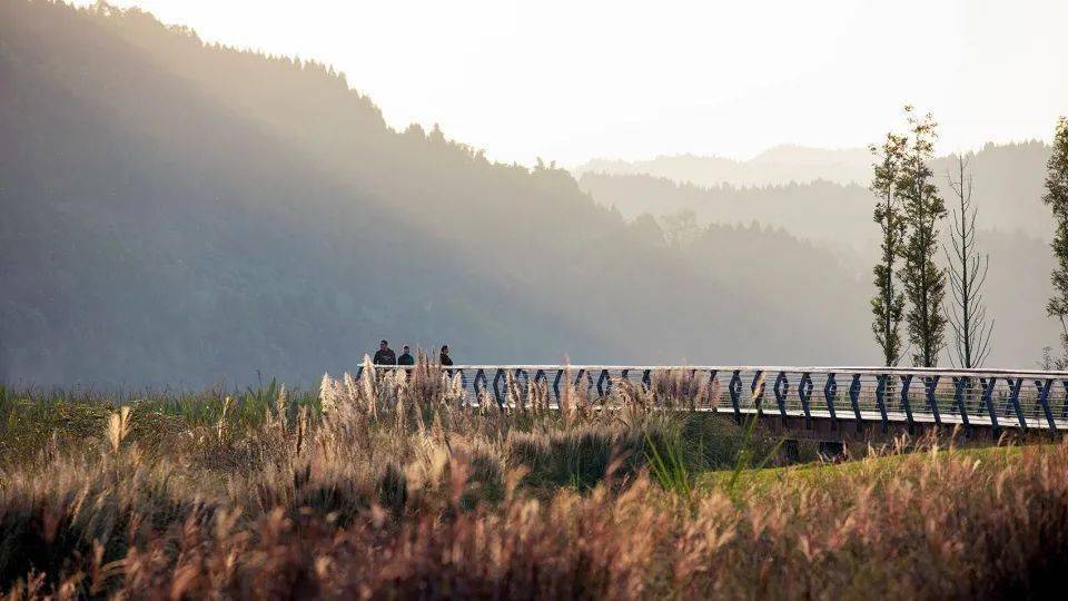 新作 四川南部水城禹迹岛公园 南充 毕路德建筑顾问有限公司 景观