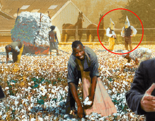 原来,这才是bci._棉花