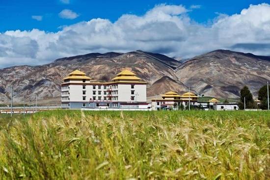 西藏卡嘎村:"幸福泉"助力村民增收致富奔小康