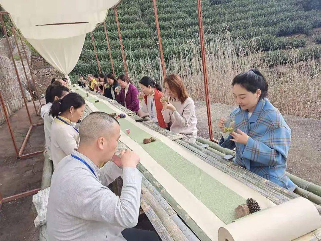于茶席中,领略茶艺,探索茶道,感悟碧螺春茶的精妙