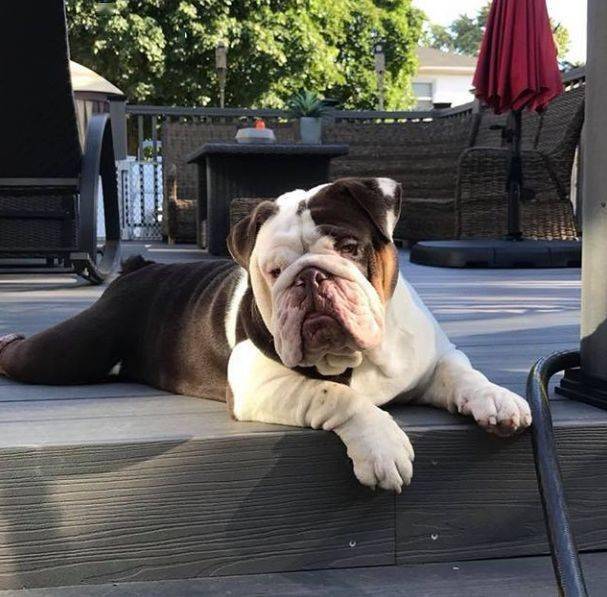 英斗从小到大颜值变化究竟有多大?看完照片心被扎碎了