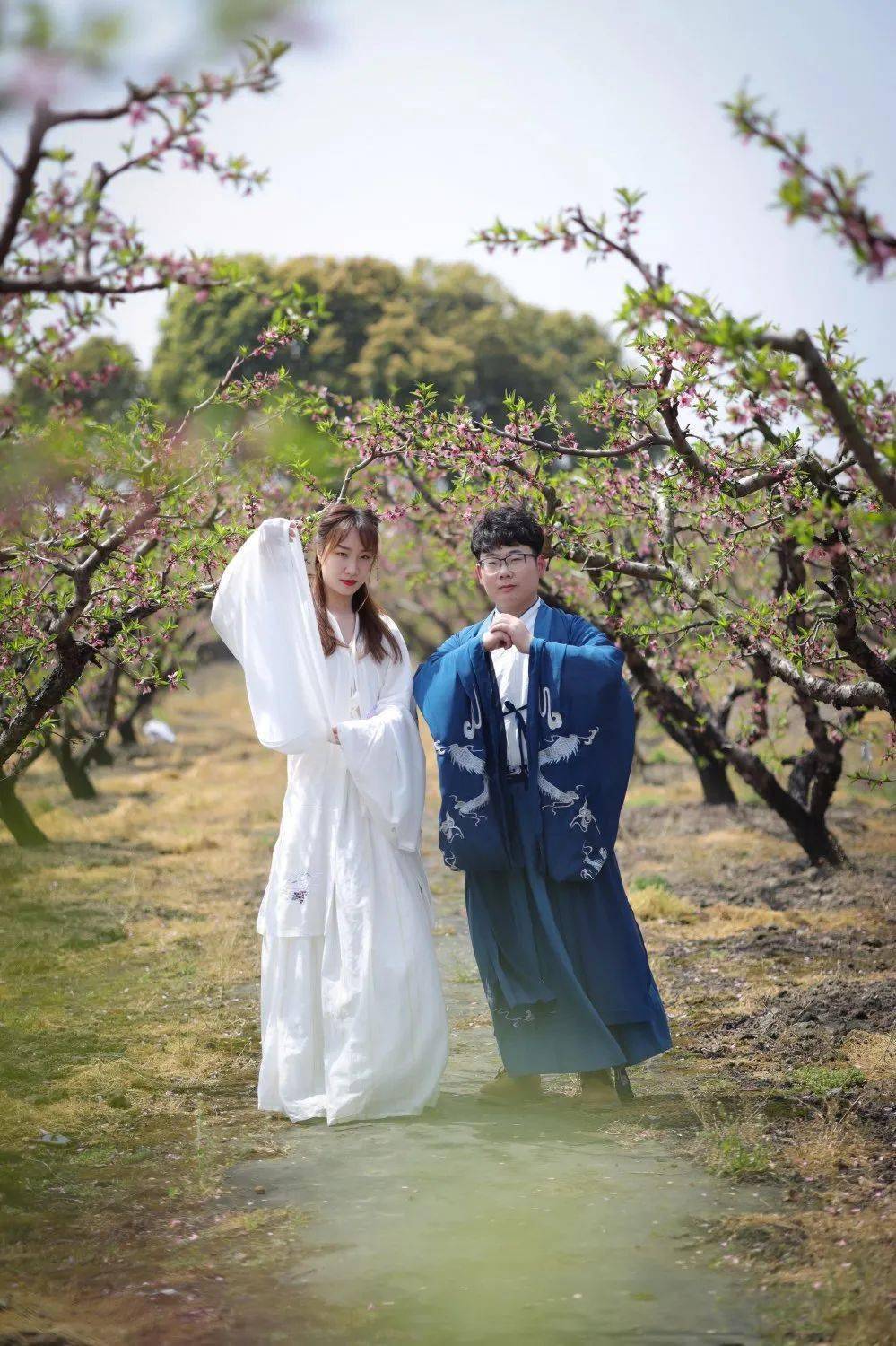 桃花园里桃花缘丨2021年洛阳镇第八届桃花缘汉服交友会举行