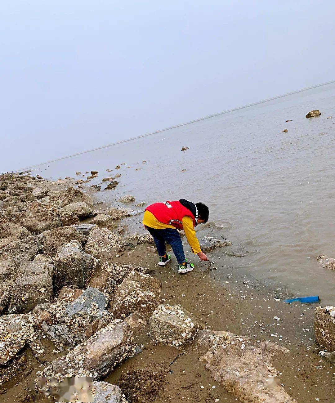 在東疆灣景區的北部,有個東疆趕海點.