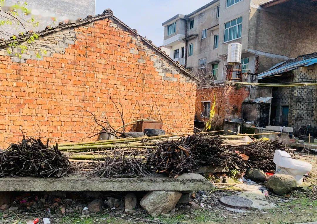 第四期临海农村人居环境红黑榜来了!河头,白水洋,括苍等地上榜_括苍镇