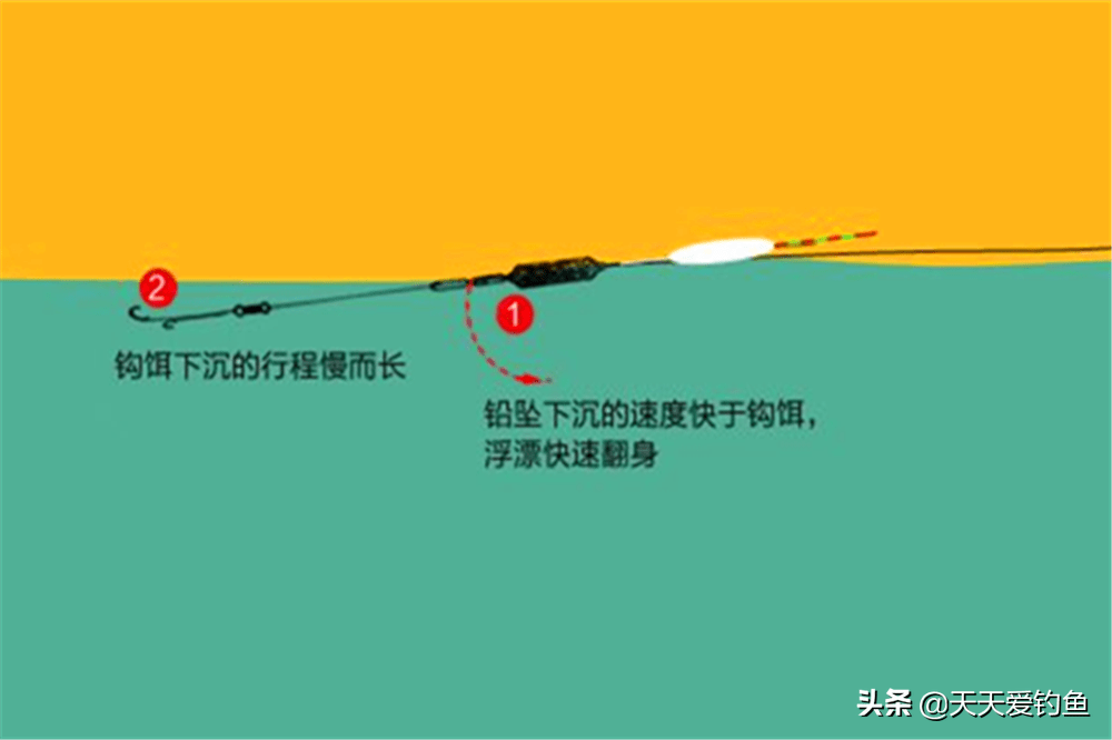 小崔阿波钓法图解图片