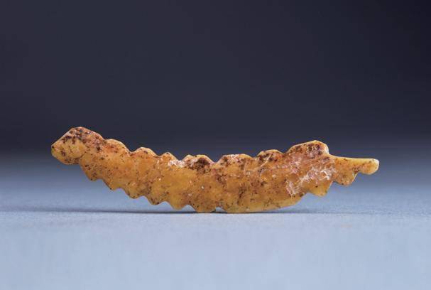 北边为黄河,周边分布有青台,汪沟,西山,苏羊,土门,妯娌等诸多聚落