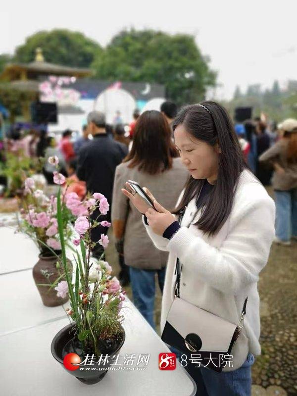 浪漫！桂林南溪公园樱花盛放美景如画，还有绿色的樱花，你见过吗？