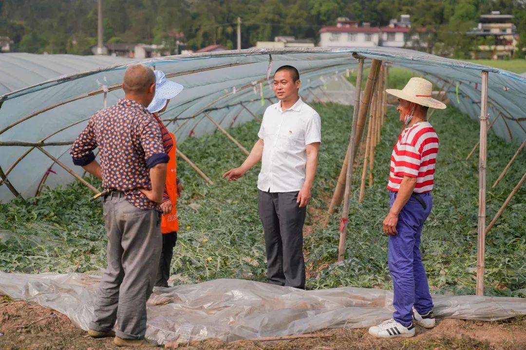 负责人:闵志均职务:剑峰镇桂花村党支部书记优势:优于建章立制,善于