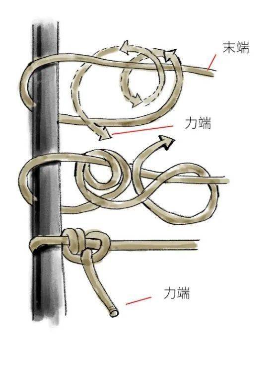 帐篷绳结打法图片