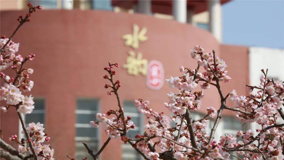 河南农业大学郸城分校图片