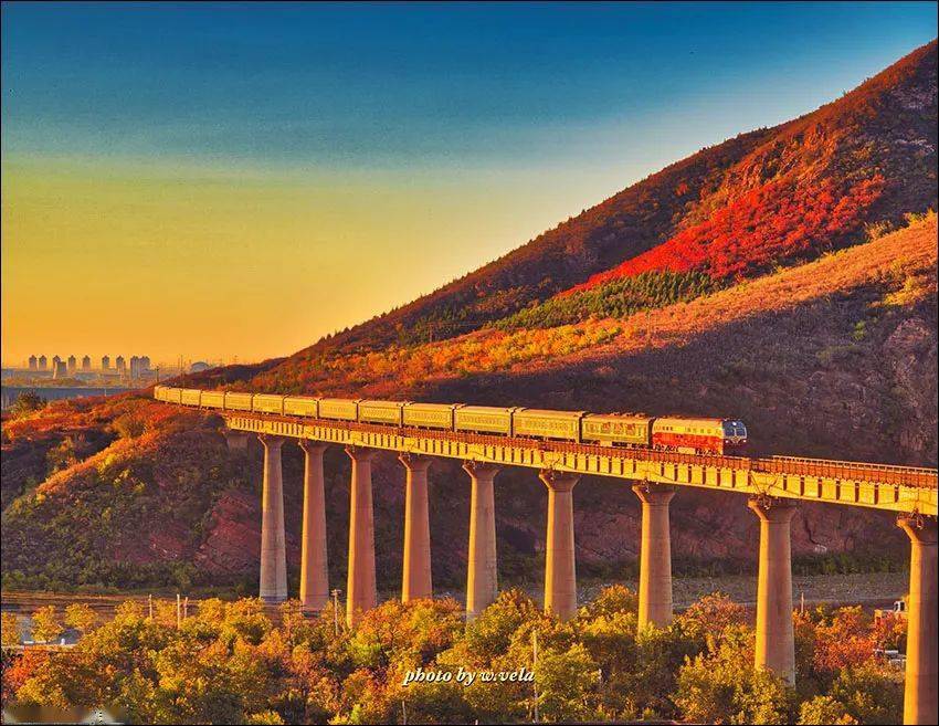 车迷好图第380期