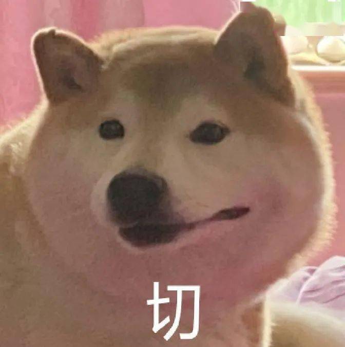 沙雕猫表情包沙雕柴犬表情包