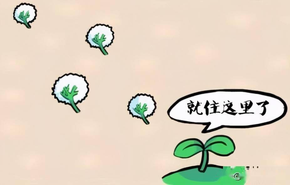 雨下什么成语_成语故事图片