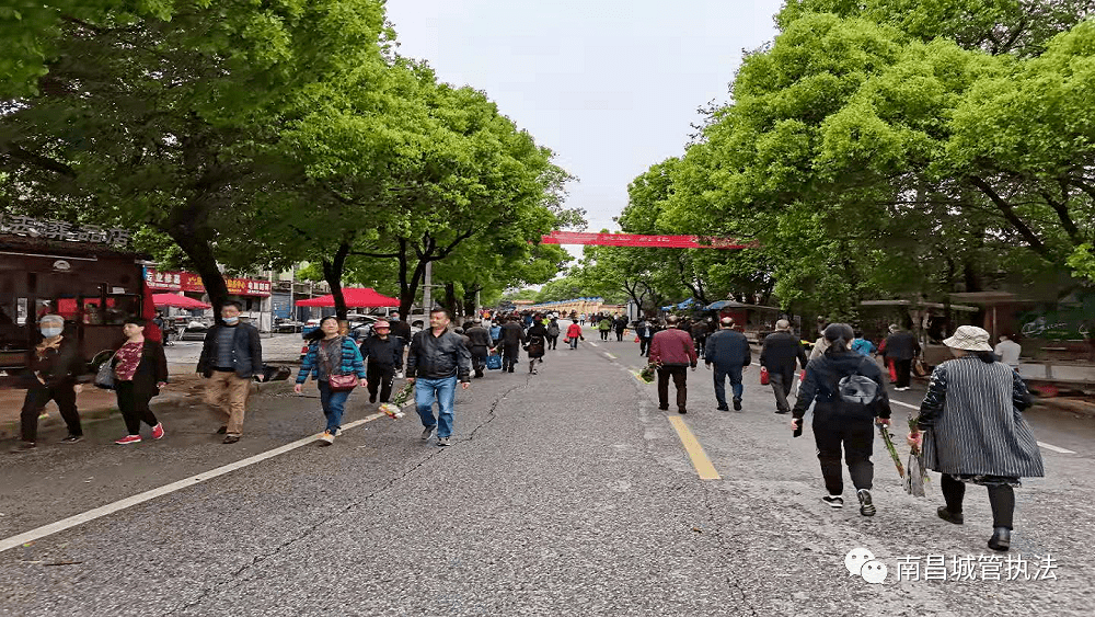 转作风优环境促新风,清明祭扫第一天瀛上墓区呈现良好的总体环境