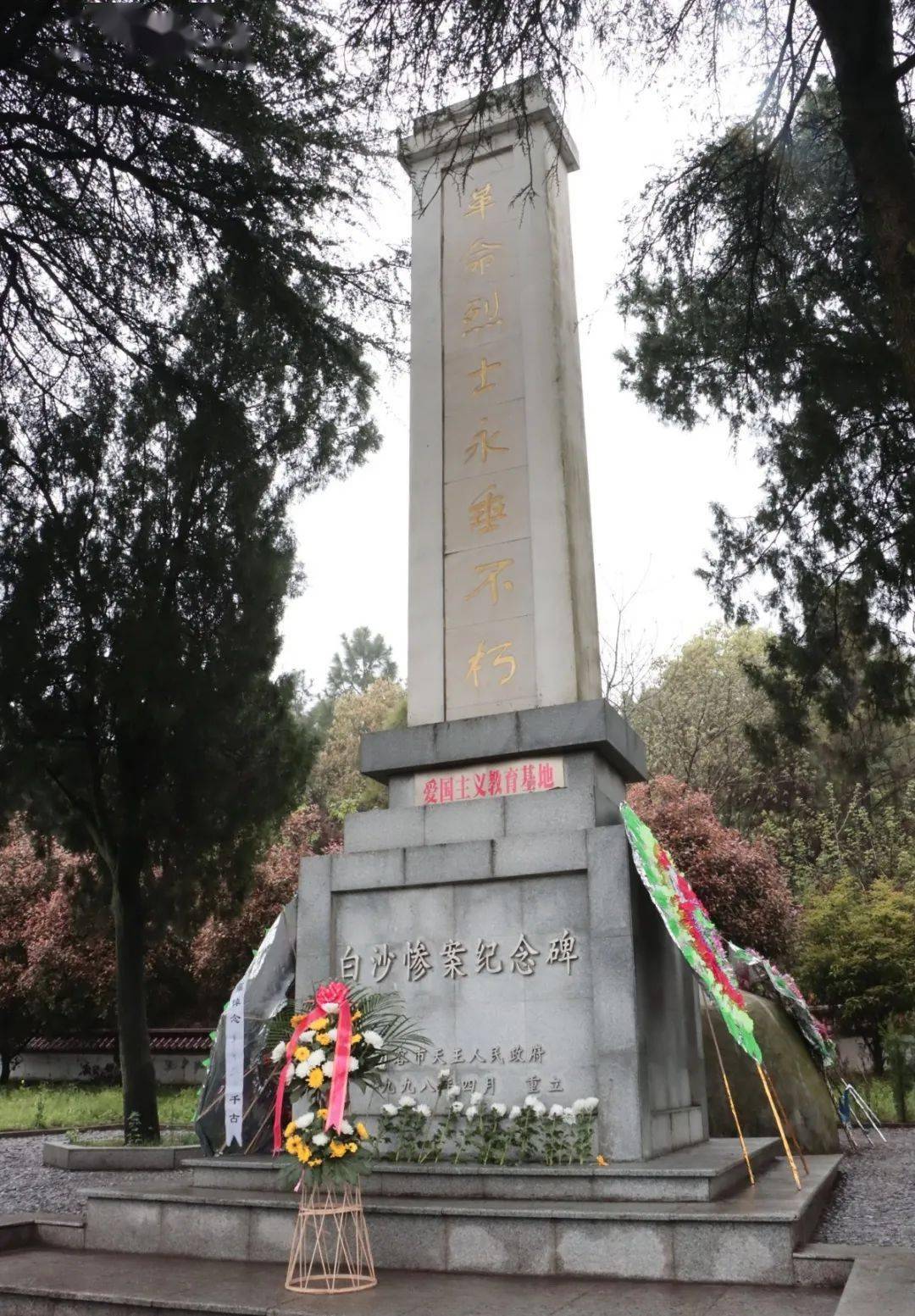 缅怀先烈担使命天王镇开展党史学习教育暨清明祭扫主题活动