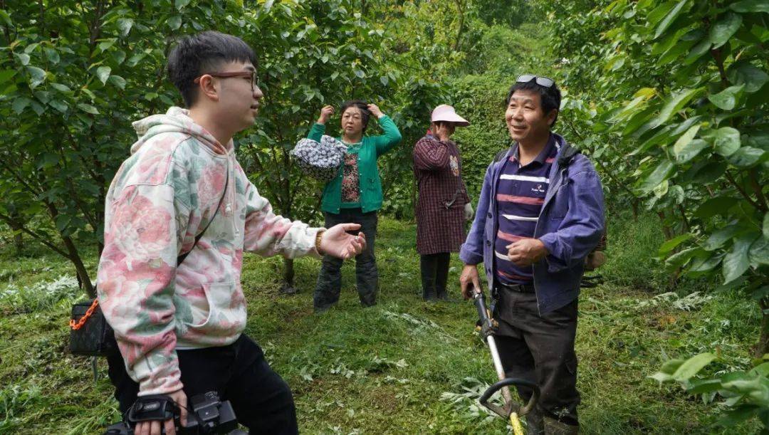 乐山潘家园摘樱桃图片