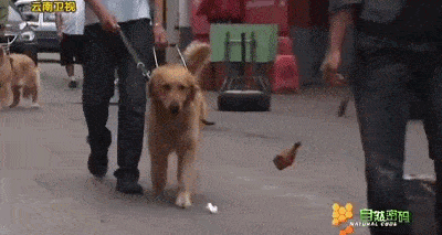 4718b5fc0a934f0e94bacd5344cbc8db.gif