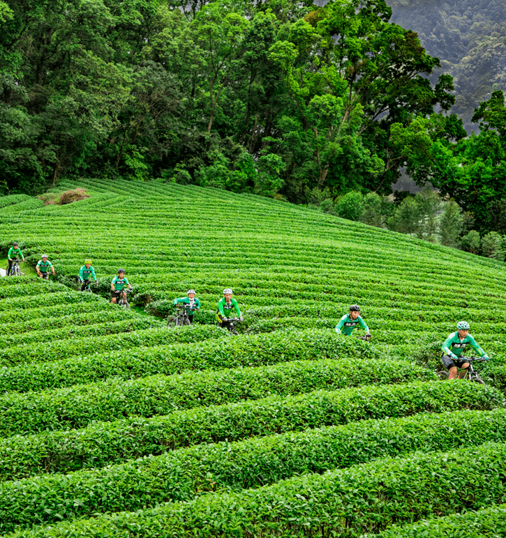 67江门踏青一天游攻略来了逛景点品美食假期通通安排