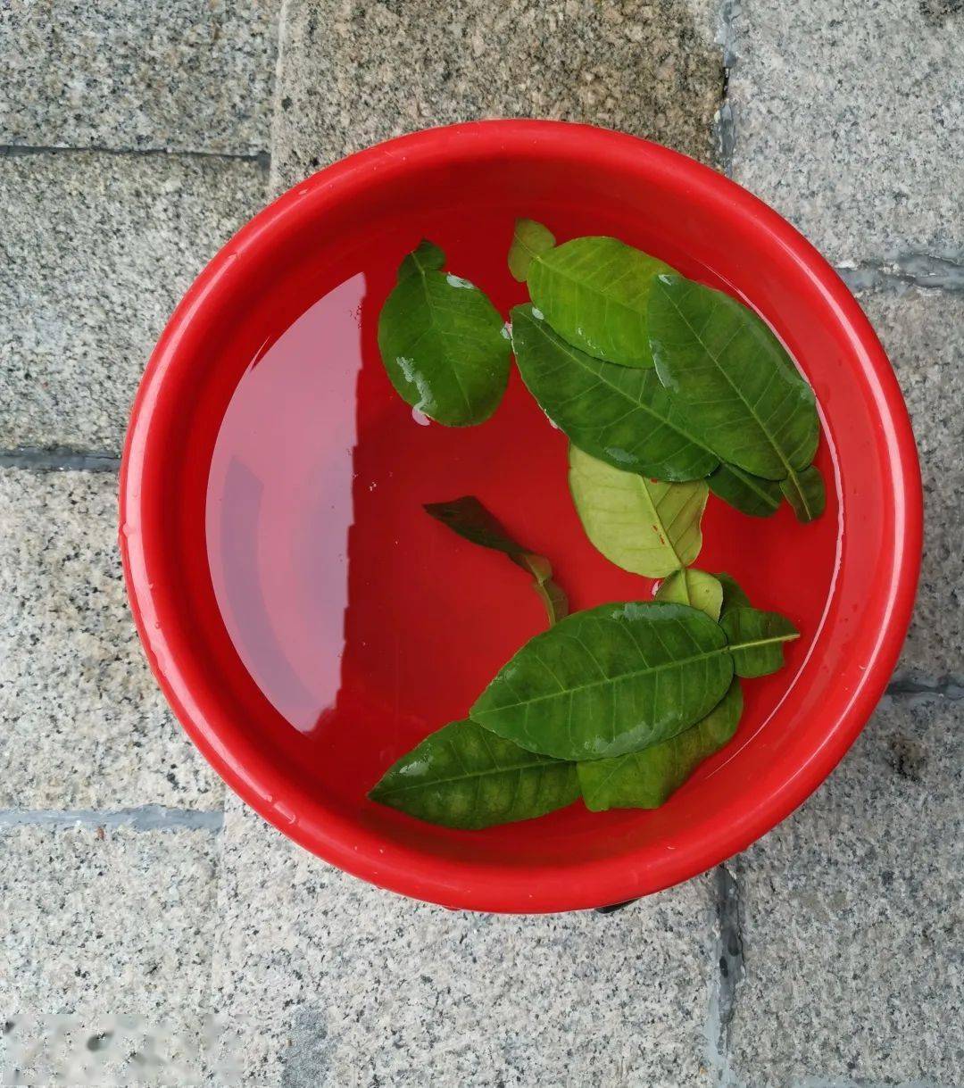 深圳民俗 | 深圳人的清明节,一定要有这些仪式感!