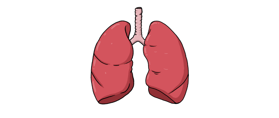 憋气超过30秒意味肺部健康 这个检查才是 金标准 患者