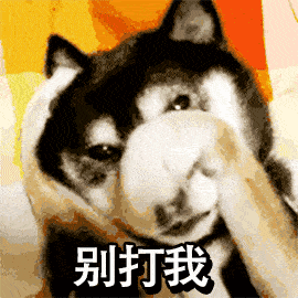 苍老师高清无码照
