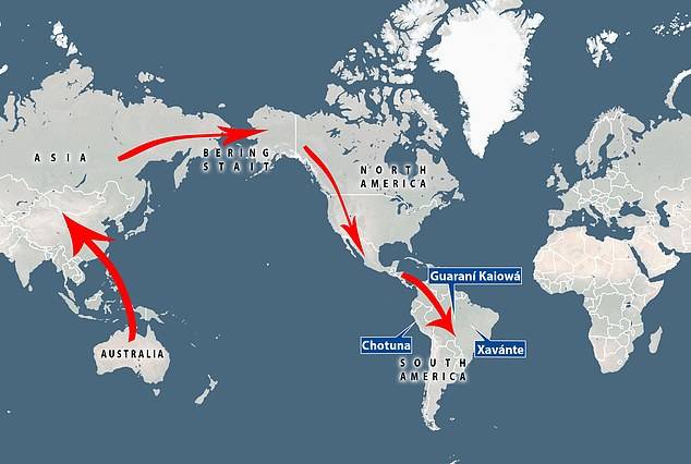 特征|基因研究证明澳大利亚土著1.5万年前通过白令海峡南下南美
