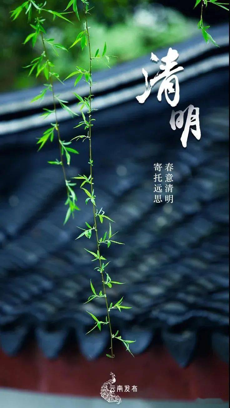 今日清明|铭记缅怀 遥寄哀思