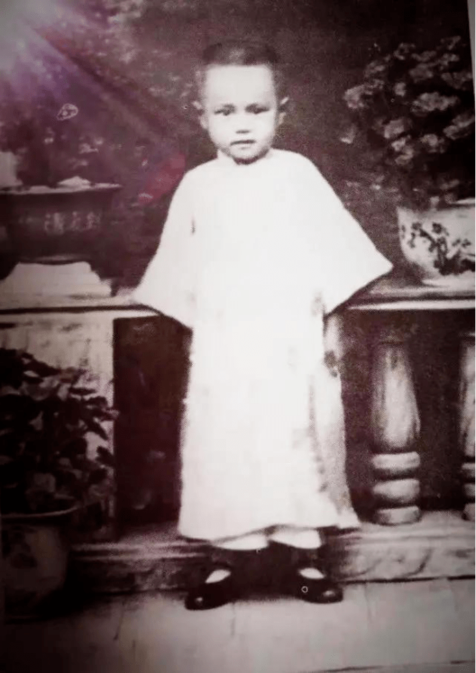杨振宁在1957年的诺奖晚宴上说了些什么?_杨武之