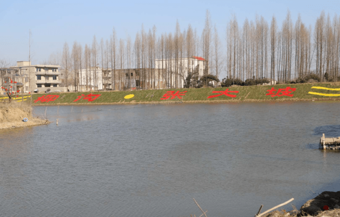 春游江淮请您来|阜南柳沟:依托特色产业 激活乡村旅游_柳沟镇