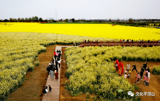 平顶山市生态园简介图片