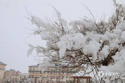 新疆伊吾四月下暴雪 积雪深度达10厘米