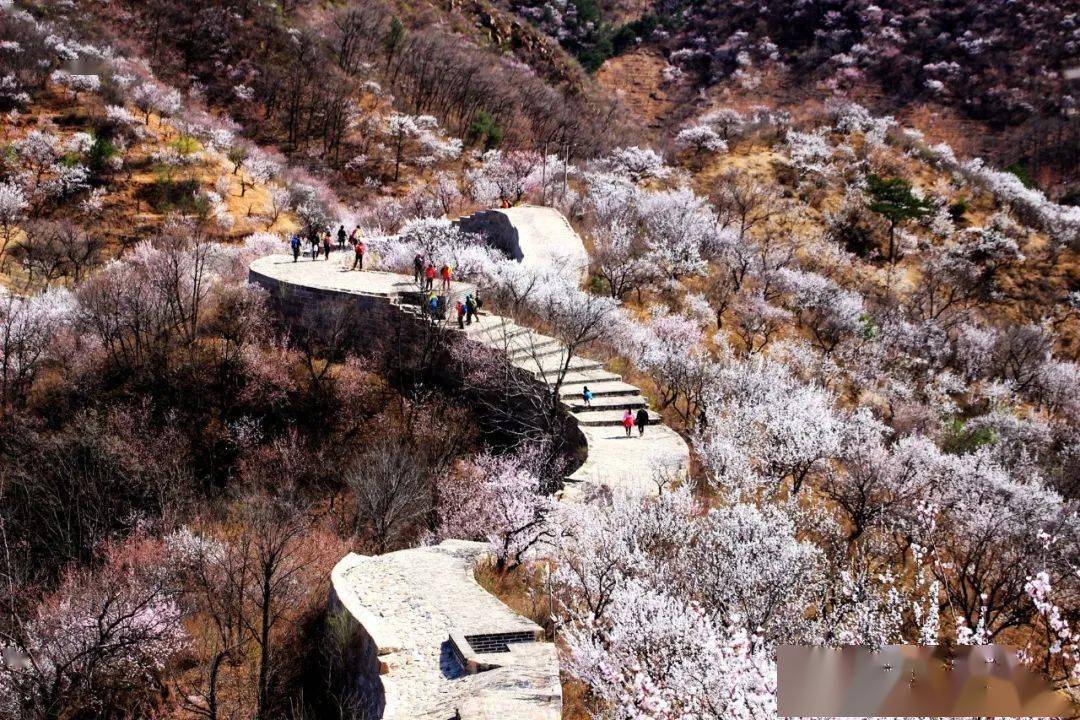 大峪沟村转场龙泉峪长城_延庆