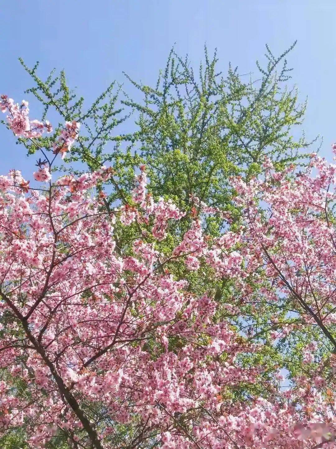 合服公告 4月9日江湖合服它要来啦 大区