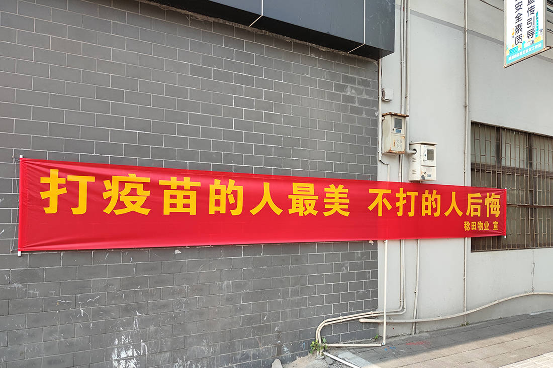 城事|接种疫苗标语上新:出一"臂"之力,看人间最美四月天
