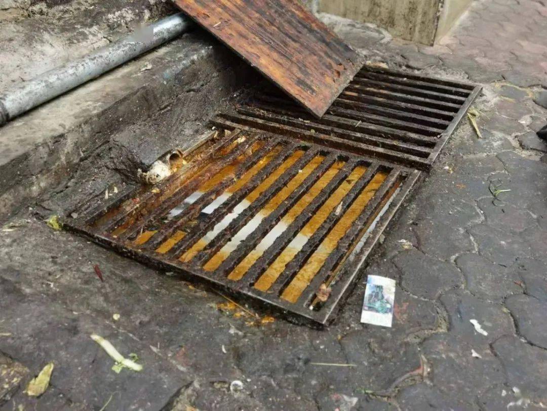 曝光台商家自建隔油池满地油污气味大