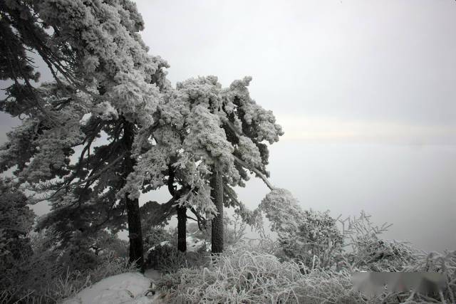 读完这15句 你就读懂了南岳的冬 南岳雾凇征文精选第2辑 衡山