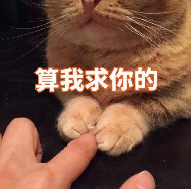 口语说起来要流畅 其实超简单的 They