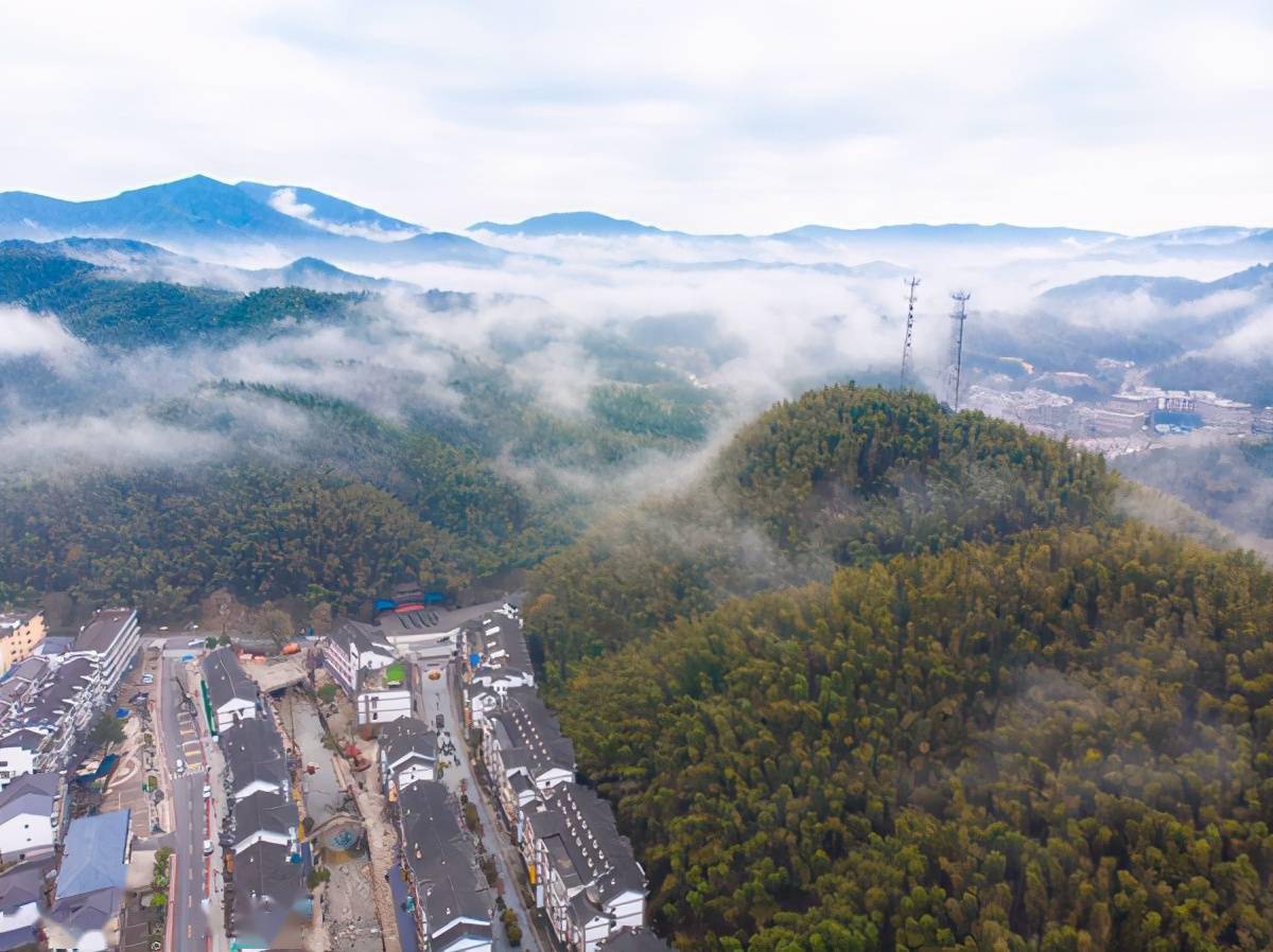 来到南昌湾里,夜宿在梅岭风景区的琴源山庄,本以为夜生活只有风吹树叶