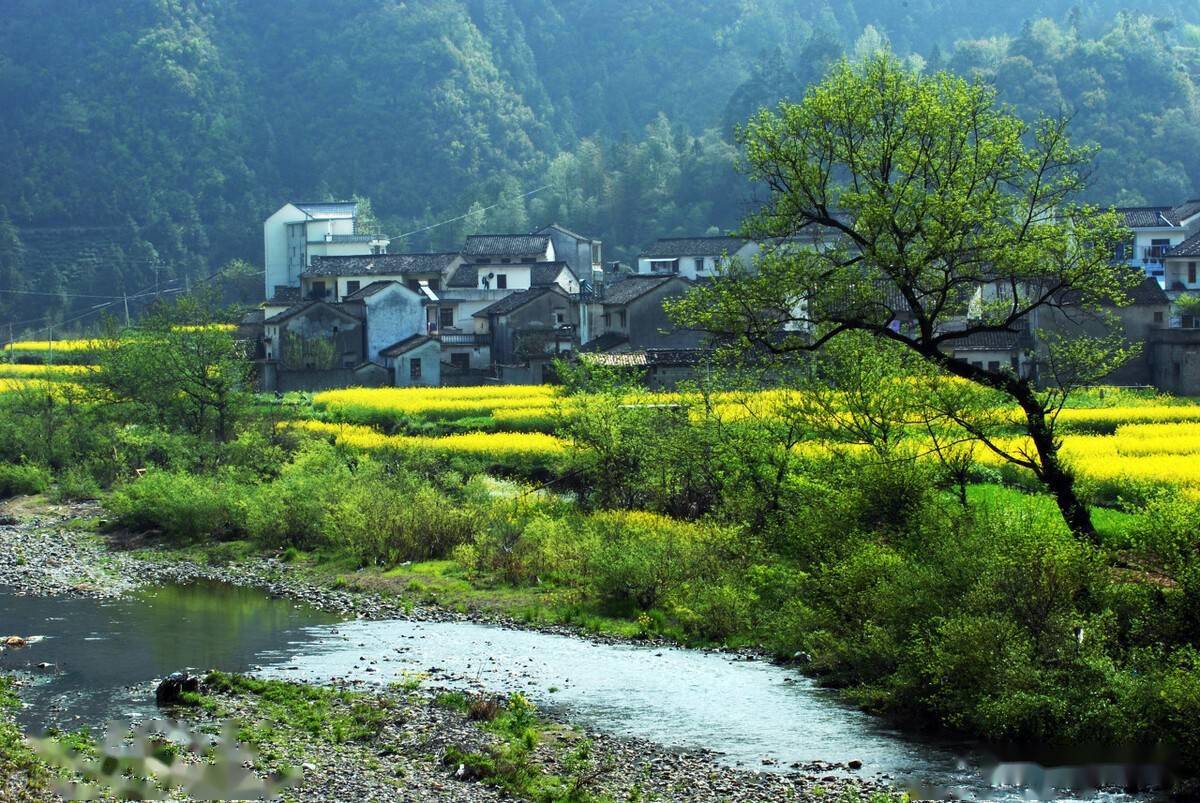 2021中国最美乡村百佳县市榜单出炉安徽3地荣誉上榜