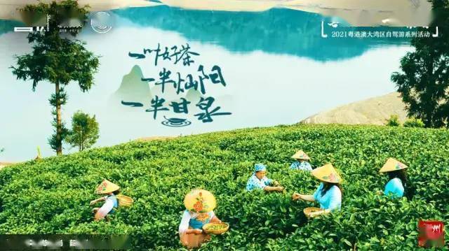 茶香夜雨动态曲谱_茶香夜雨简谱曲谱(2)