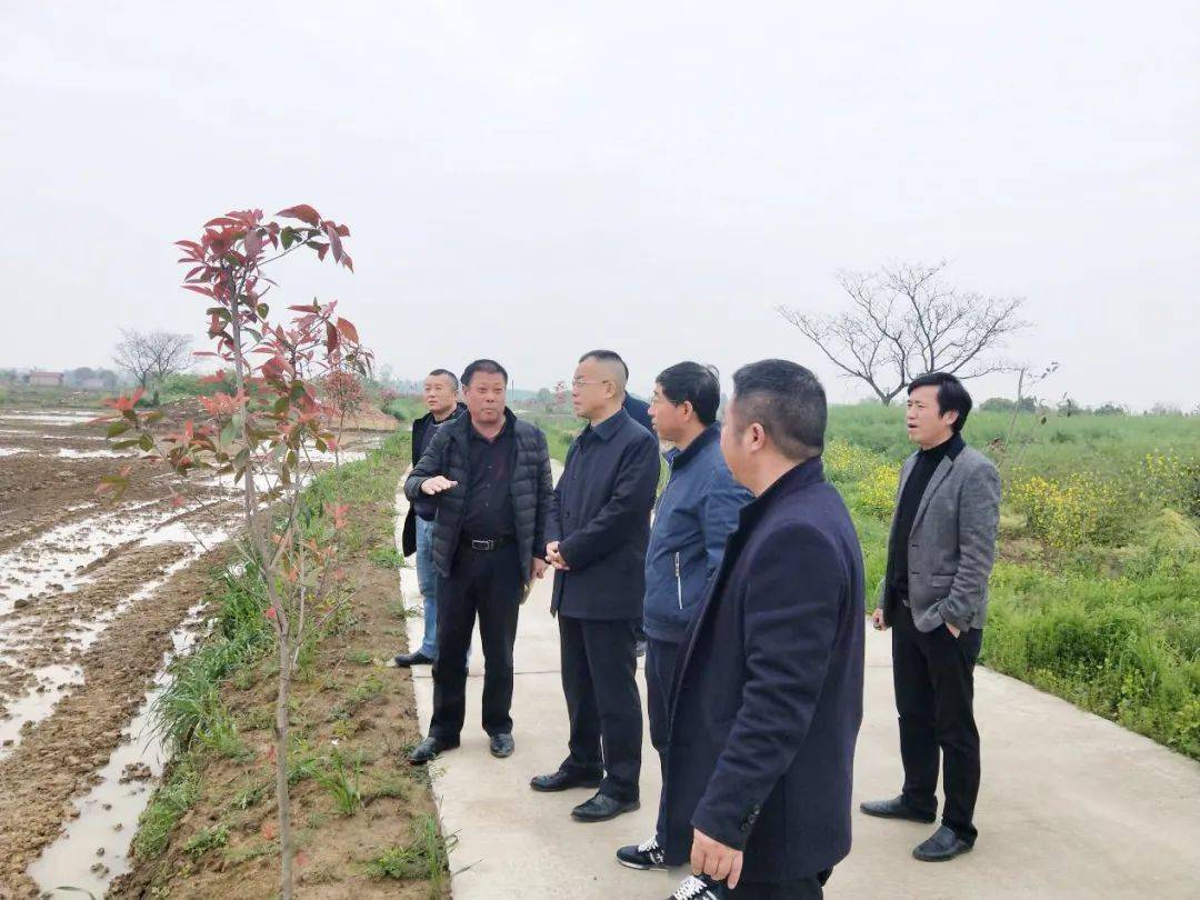 汪集街代表进村和企业走访调研提出了这些好建议