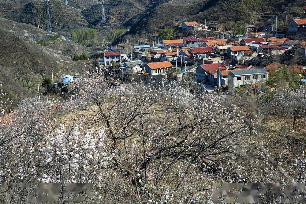 狼儿峪春意正浓景色让人惊叹