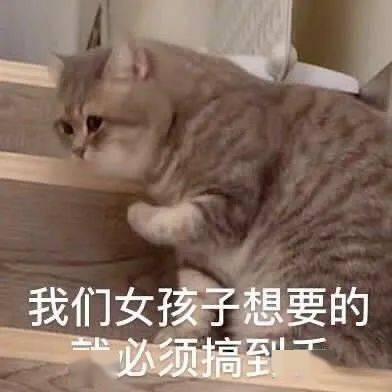 46926cc890774d0e8b9b5f3fc5945864.jpeg