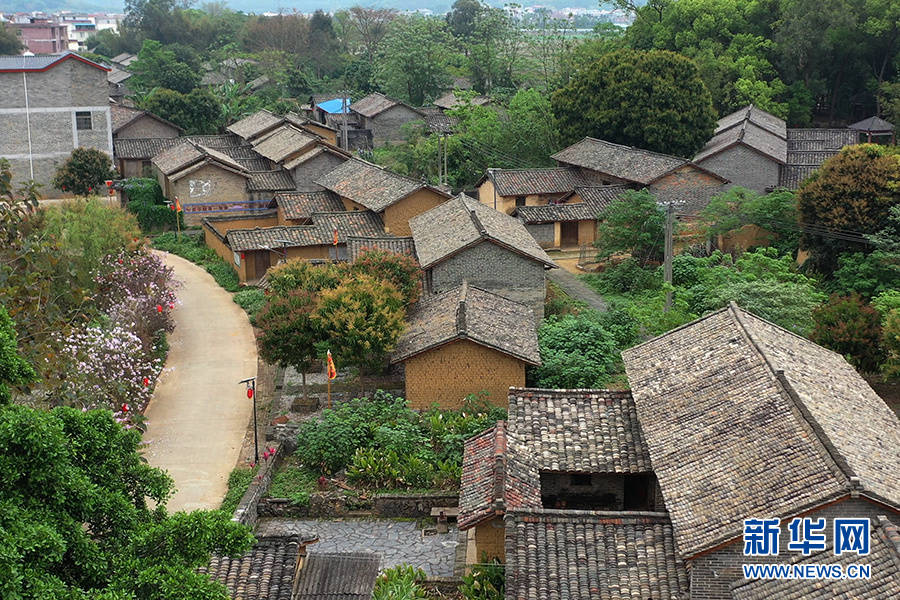 横县:绘就乡村风貌美丽画卷