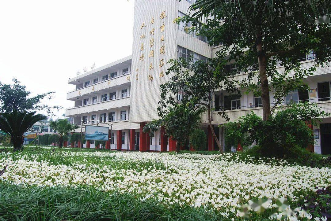 沫若中学2021年秋季招生简章发布