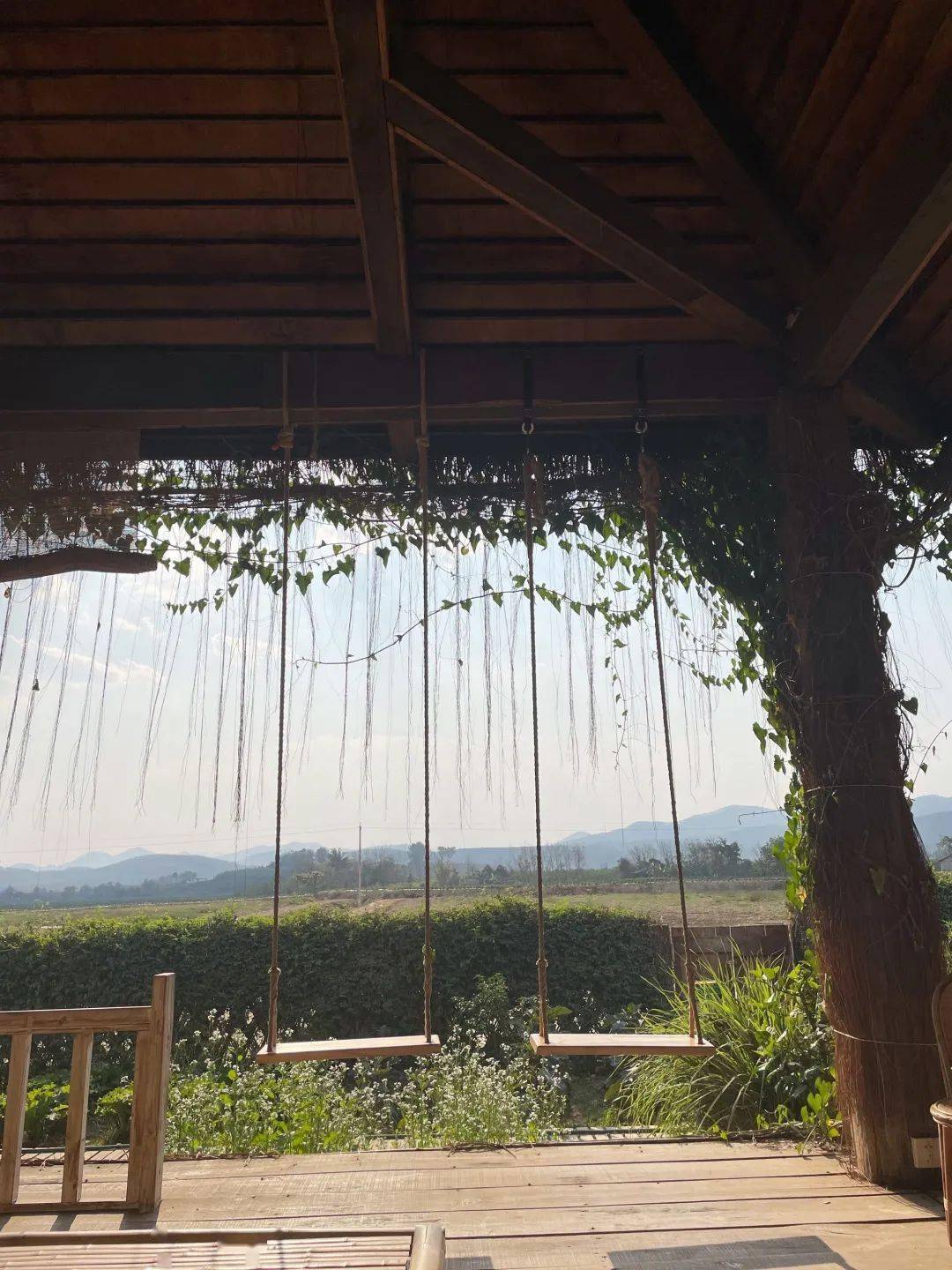 67司藤出圈秘诀三分靠景甜七分靠云南