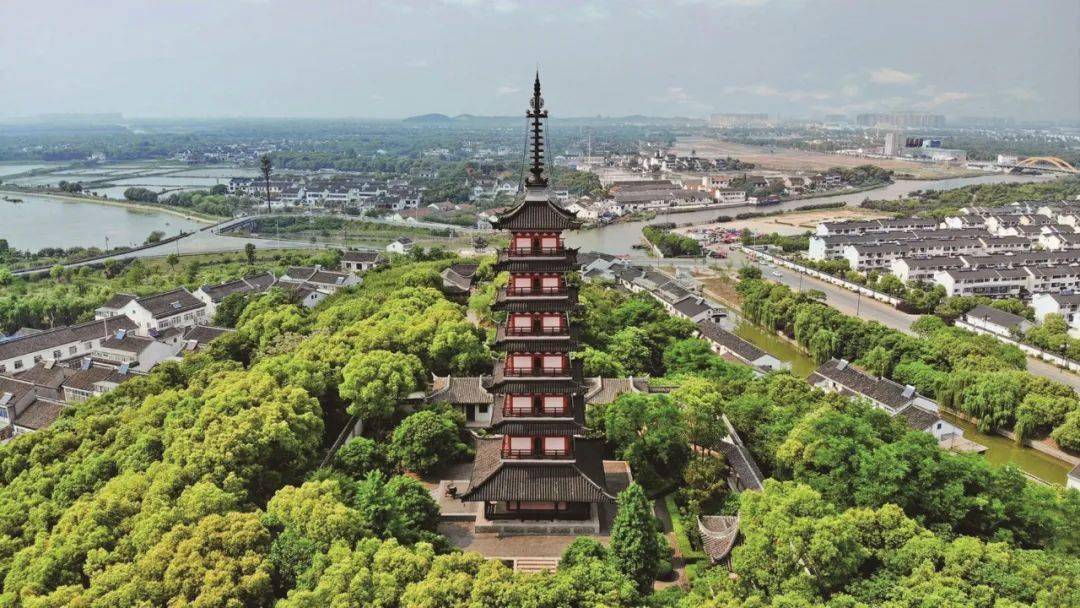 湖光山色光福镇清奇古怪四汉柏