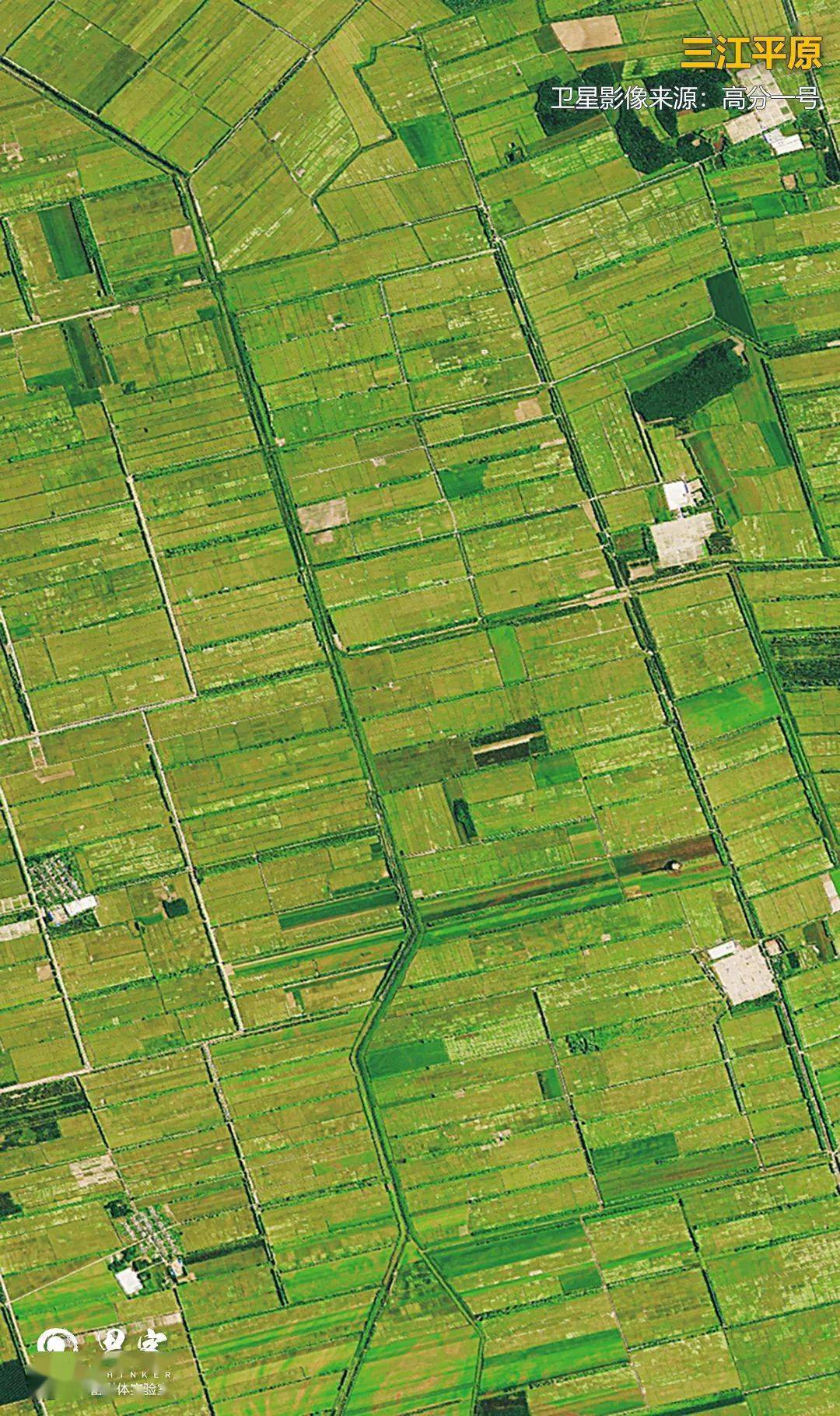 卫星图基本农田颜色图片